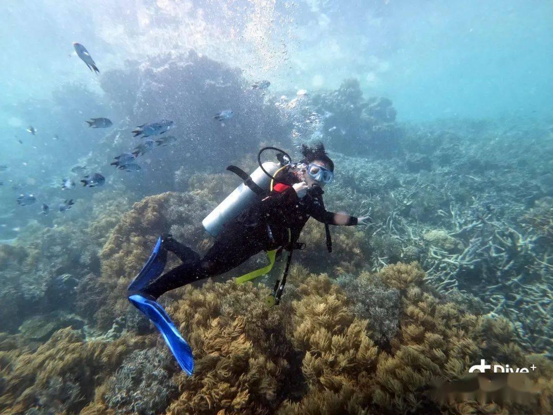 广州海灏生物创新港项目发生事故,致2死1伤,广州市挂牌督办