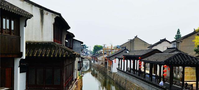 济南“胡一刀”胡承春救助上百只鸟类